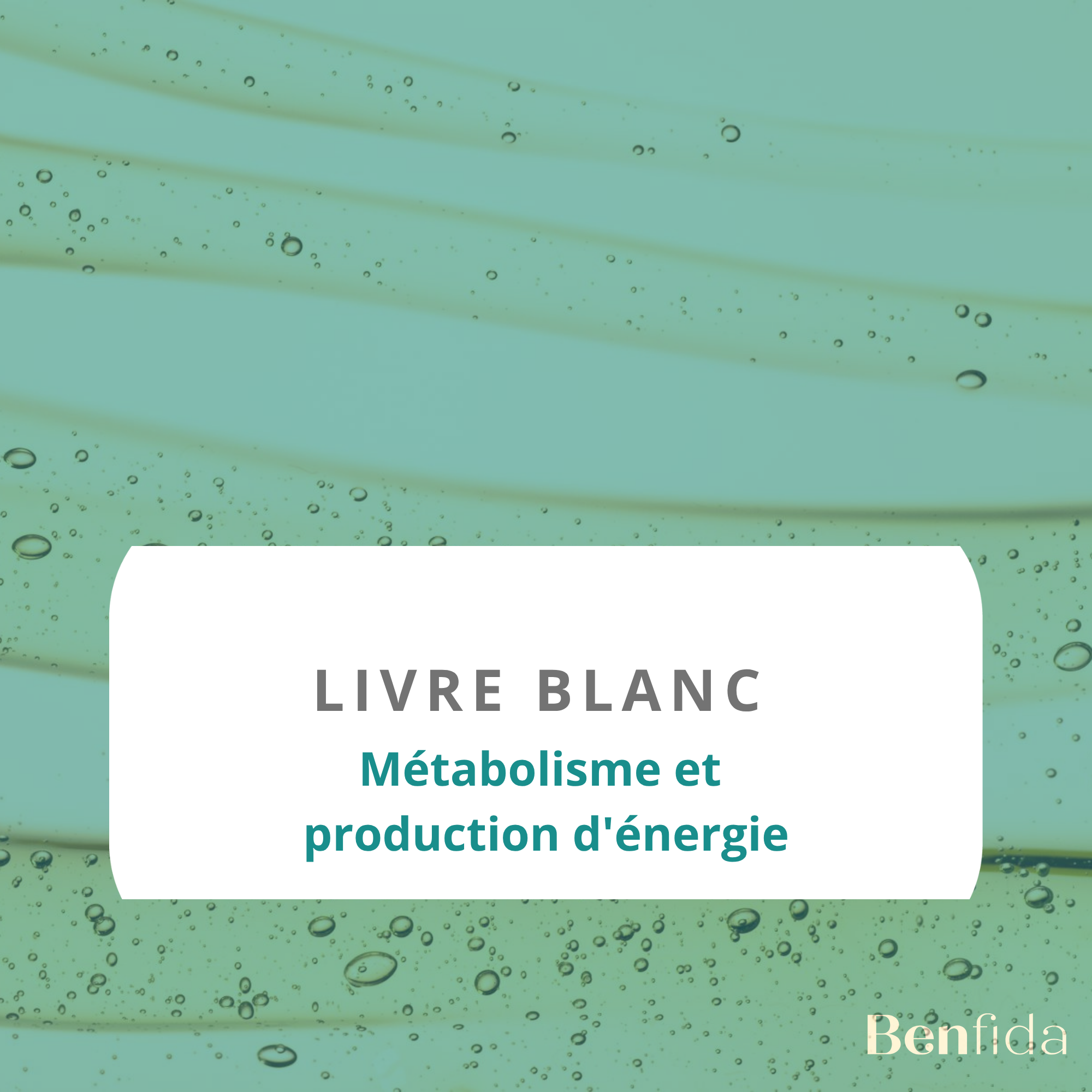 Métabolisme et production d'énergie