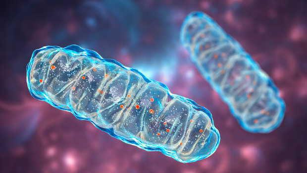 Banner image for: <h2>Whitepaper - Van leefstijlbelasting naar functionele klachten</h2>